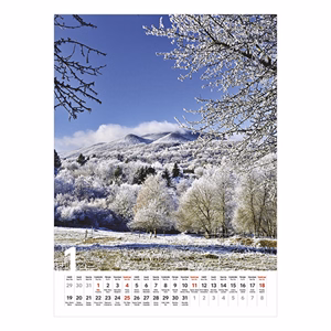 Falinaptár TOPTIMER T093 310x420mm álló Ezerszínű Magyarország 2026.