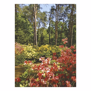 Falinaptár TOPTIMER T093 310x420mm álló Ezerszínű Magyarország 2026.