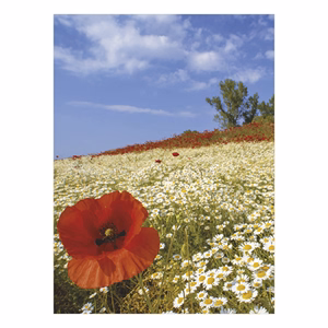 Falinaptár TOPTIMER T093 310x420mm álló Ezerszínű Magyarország 2026.