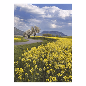 Falinaptár TOPTIMER T093 310x420mm álló Ezerszínű Magyarország 2026.