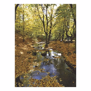 Falinaptár TOPTIMER T093 310x420mm álló Ezerszínű Magyarország 2026.