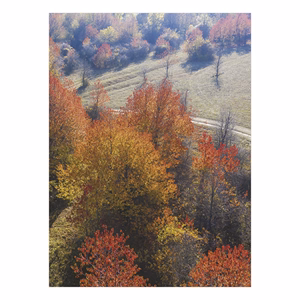 Falinaptár TOPTIMER T093 310x420mm álló Ezerszínű Magyarország 2026.