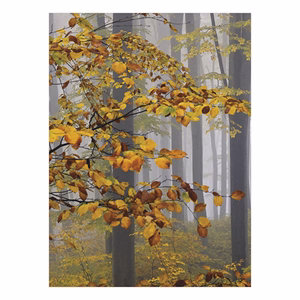 Falinaptár TOPTIMER T093 310x420mm álló Ezerszínű Magyarország 2026.