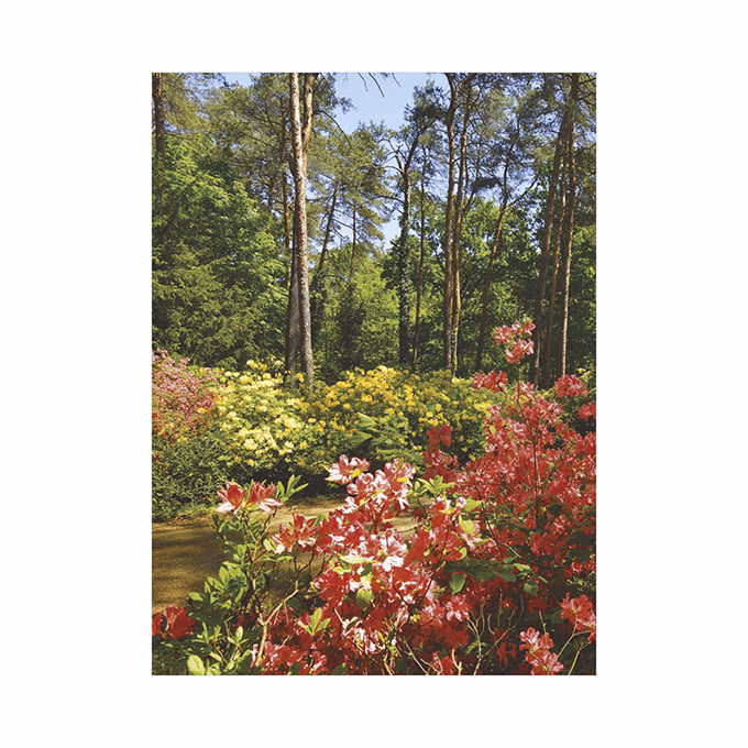 Falinaptár TOPTIMER T093 310x420mm álló Ezerszínű Magyarország 2026.