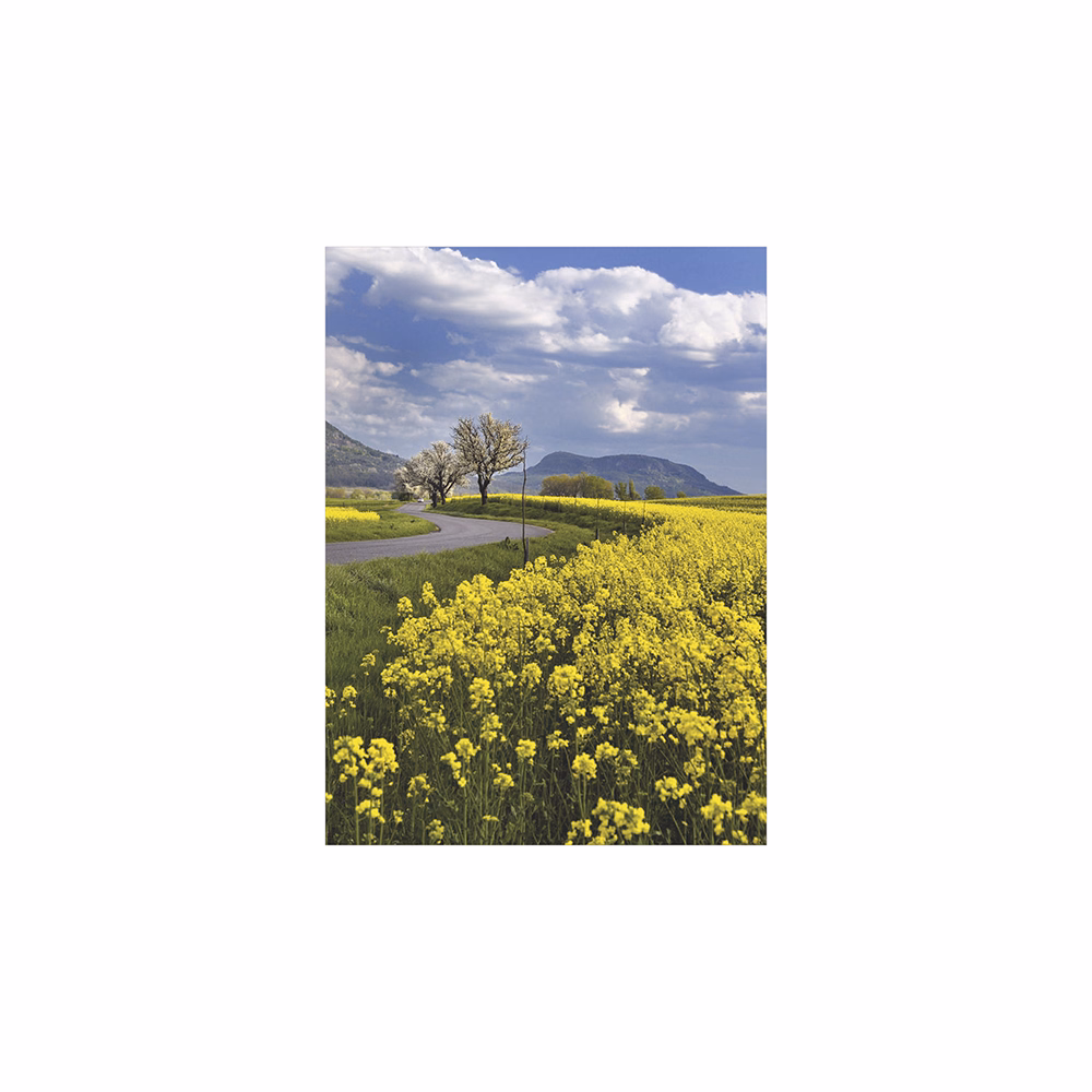 Falinaptár TOPTIMER T093 310x420mm álló Ezerszínű Magyarország 2026.