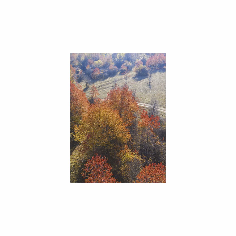 Falinaptár TOPTIMER T093 310x420mm álló Ezerszínű Magyarország 2026.