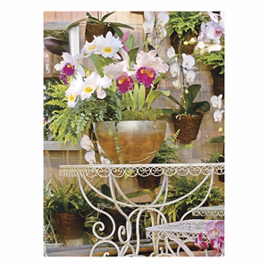 Falinaptár TOPTIMER T093 310x420mm álló Kertésznaptár 2026.