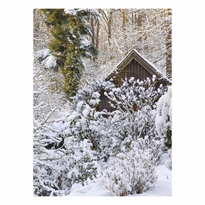 Falinaptár TOPTIMER T093 310x420mm álló Kertésznaptár 2026.