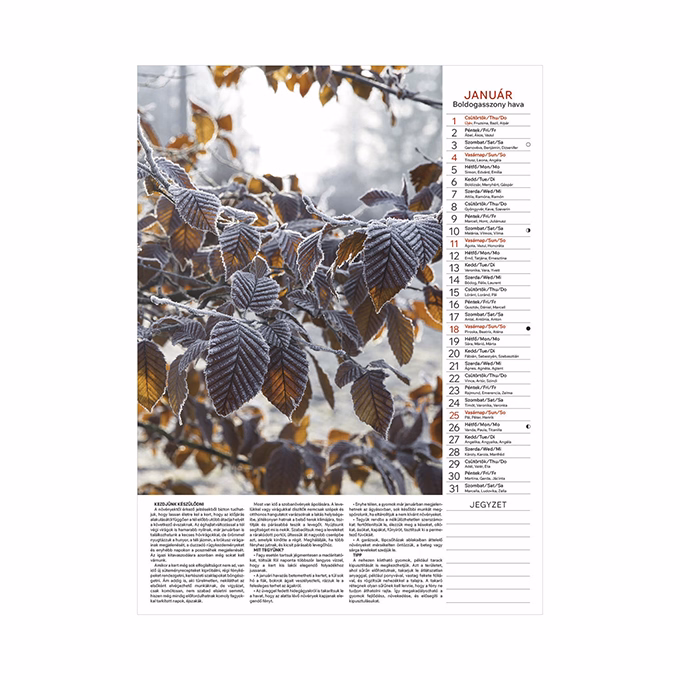 Falinaptár TOPTIMER T093 310x420mm álló Kertésznaptár 2026.