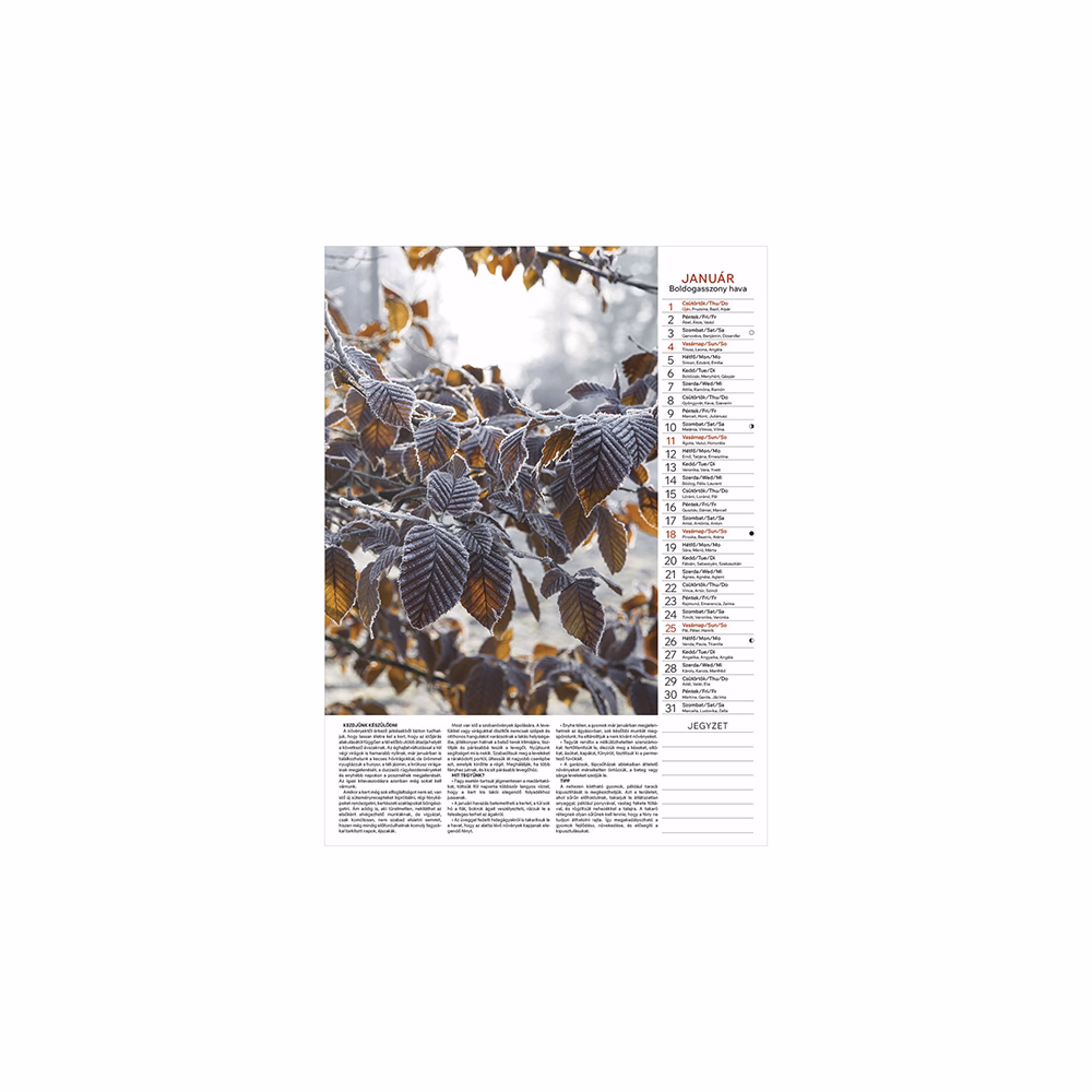 Falinaptár TOPTIMER T093 310x420mm álló Kertésznaptár 2026.