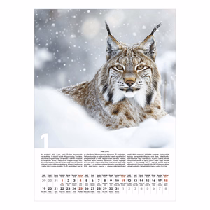 Falinaptár TOPTIMER T093 310x420mm álló Vadászat 2026.