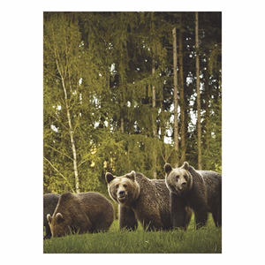 Falinaptár TOPTIMER T093 310x420mm álló Vadászat 2026.