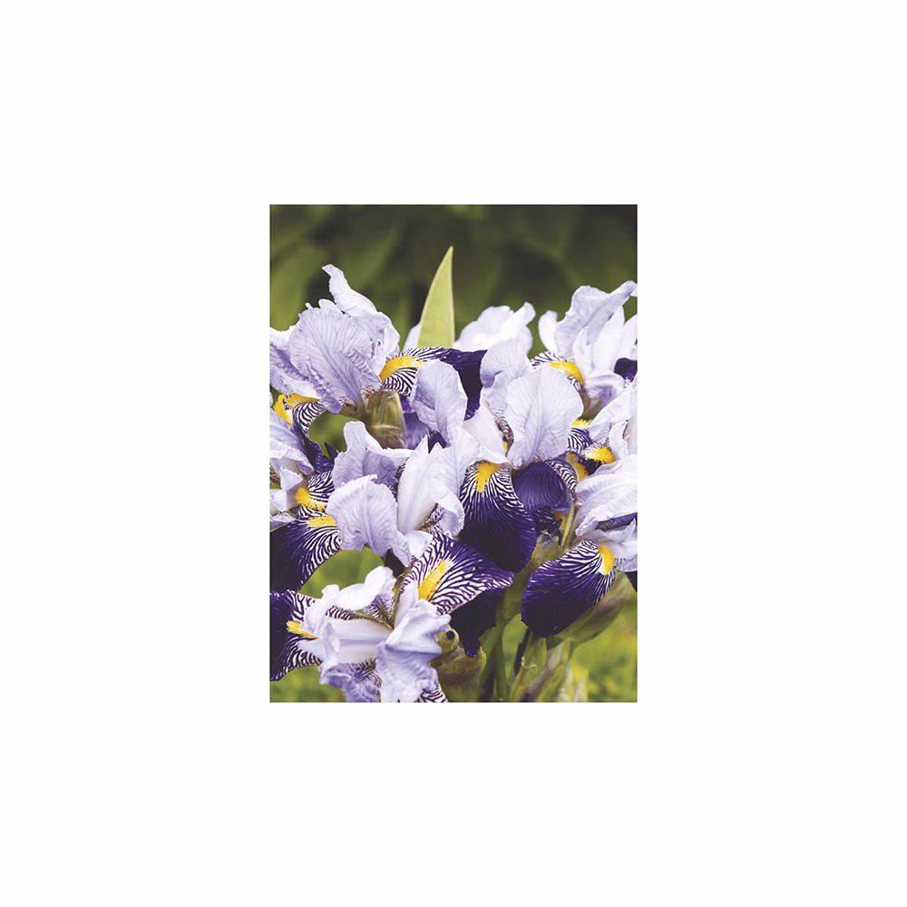 Falinaptár TOPTIMER T093 310x420mm álló Virágcsokrok 2026.