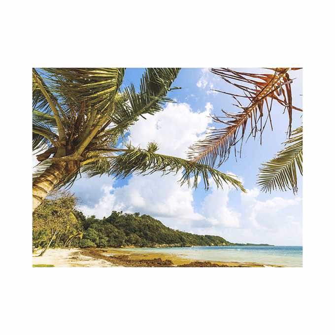 Falinaptár TOPTIMER T093 420x310mm fekvő Beach 2026.