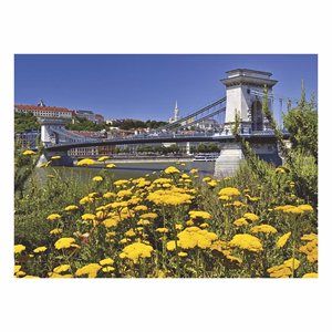 Falinaptár TOPTIMER T093 420x310mm fekvő Budapest 2027