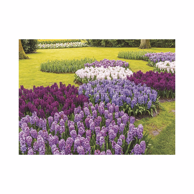 Falinaptár TOPTIMER T093 420x310mm fekvő Csodálatos kertek 2026.