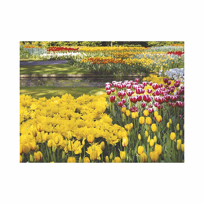 Falinaptár TOPTIMER T093 420x310mm fekvő Csodálatos kertek 2026.