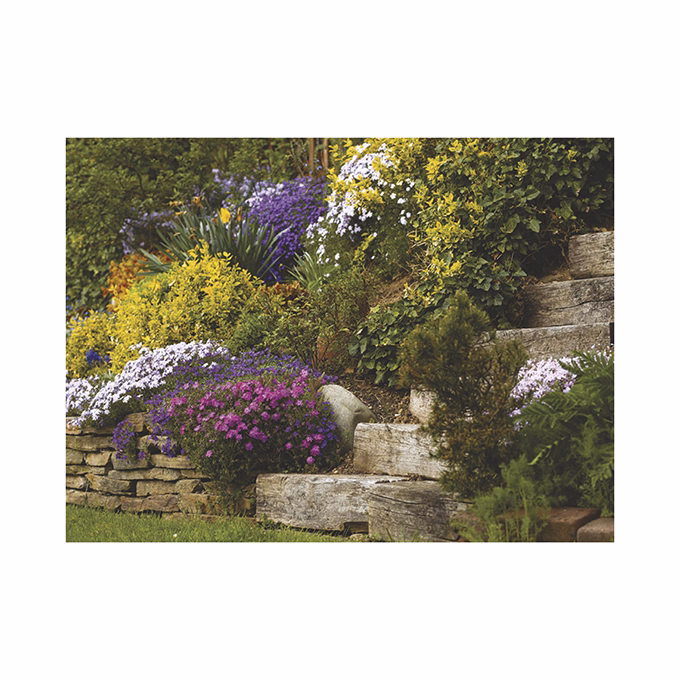 Falinaptár TOPTIMER T093 420x310mm fekvő Csodálatos kertek 2026.