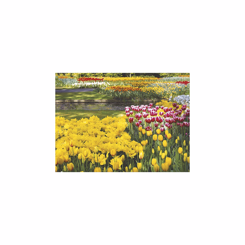 Falinaptár TOPTIMER T093 420x310mm fekvő Csodálatos kertek 2026.