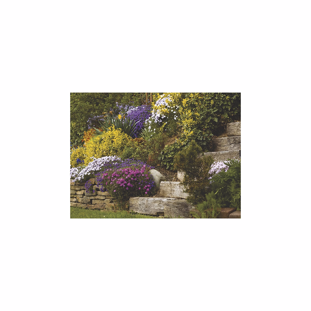 Falinaptár TOPTIMER T093 420x310mm fekvő Csodálatos kertek 2026.