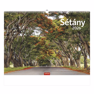 Falinaptár TOPTIMER T093 420x310mm fekvő Sétány 2026.