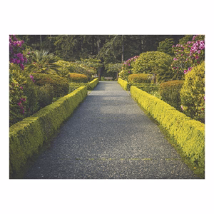 Falinaptár TOPTIMER T093 420x310mm fekvő Sétány 2026.