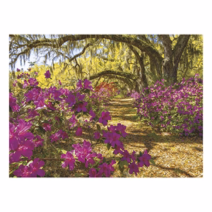 Falinaptár TOPTIMER T093 420x310mm fekvő Sétány 2026.