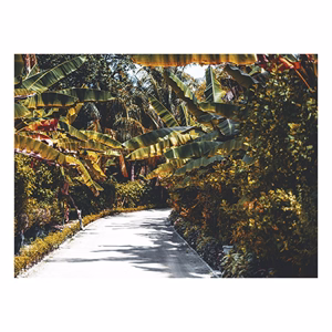 Falinaptár TOPTIMER T093 420x310mm fekvő Sétány 2026.