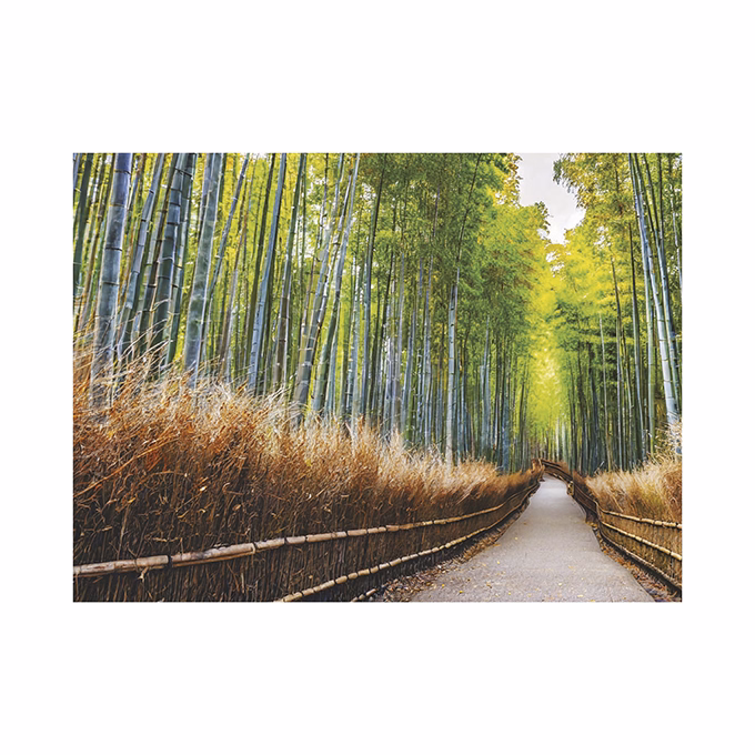 Falinaptár TOPTIMER T093 420x310mm fekvő Sétány 2026.