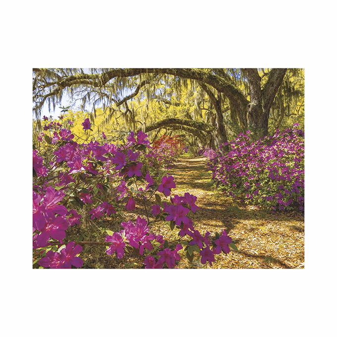 Falinaptár TOPTIMER T093 420x310mm fekvő Sétány 2026.