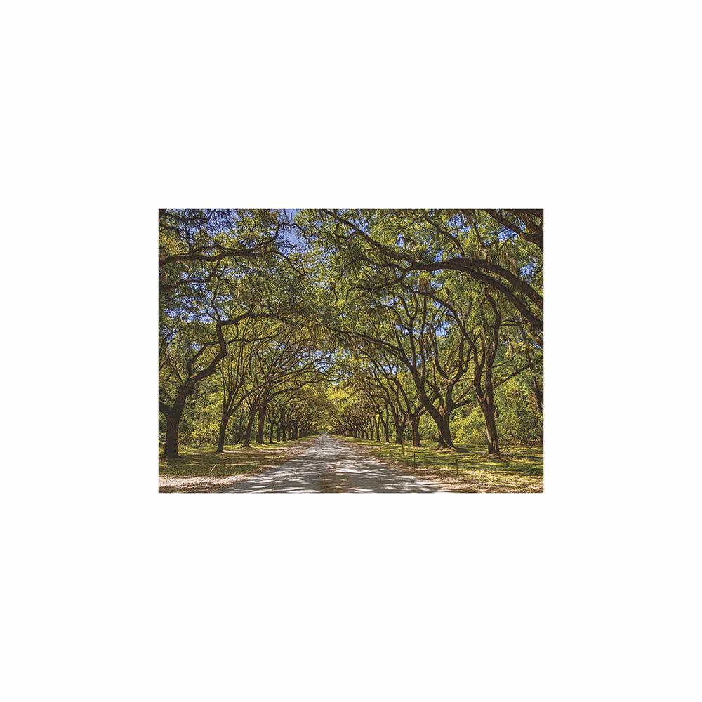 Falinaptár TOPTIMER T093 420x310mm fekvő Sétány 2026.