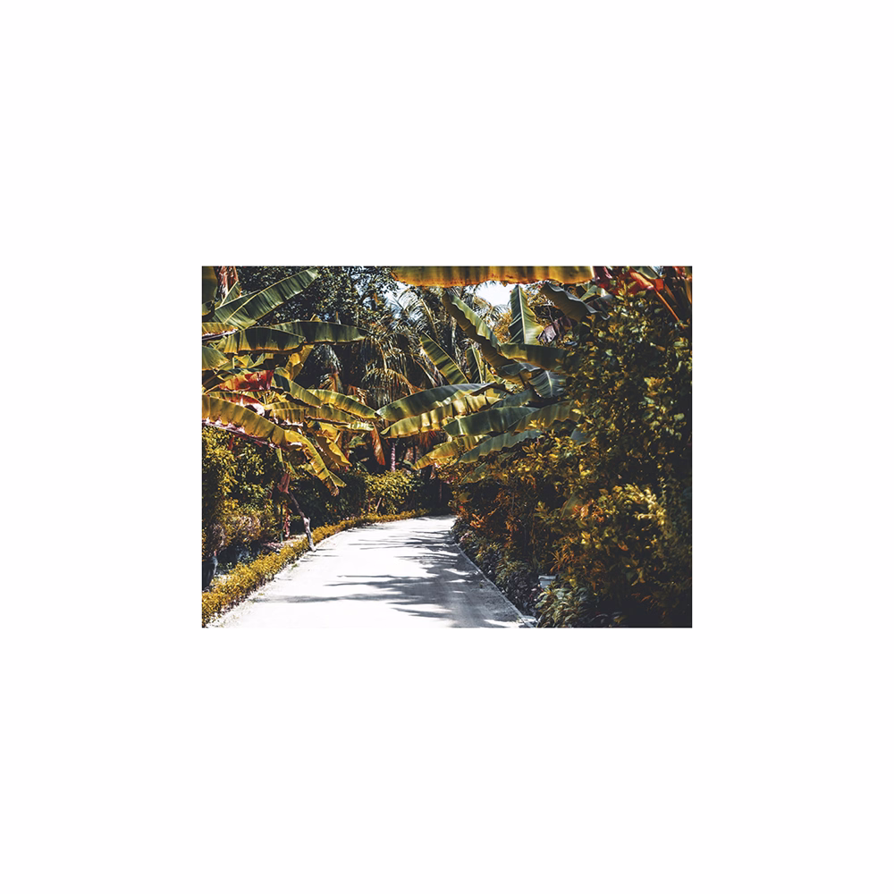 Falinaptár TOPTIMER T093 420x310mm fekvő Sétány 2026.