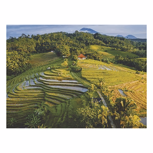 Falinaptár TOPTIMER T093 420x310mm fekvő Varázslatos tájakon 2026.