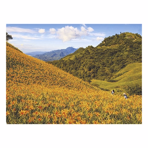 Falinaptár TOPTIMER T093 420x310mm fekvő Varázslatos tájakon 2026.