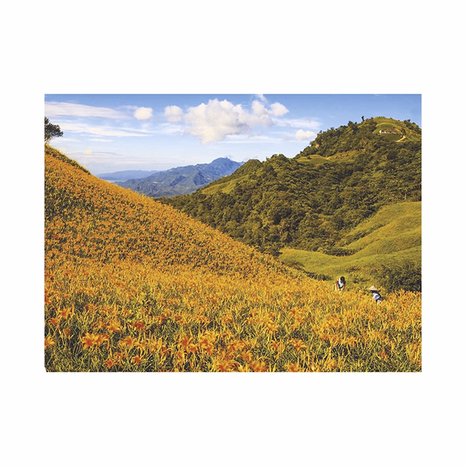 Falinaptár TOPTIMER T093 420x310mm fekvő Varázslatos tájakon 2026.