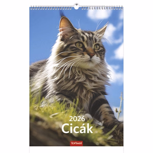 Falinaptár TOPTIMER T094 220x330mm álló Cicák 2026.