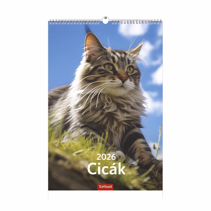 Falinaptár TOPTIMER T094 220x330mm álló Cicák 2026.
