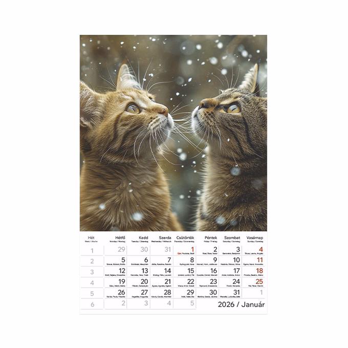 Falinaptár TOPTIMER T094 220x330mm álló Cicák 2026.