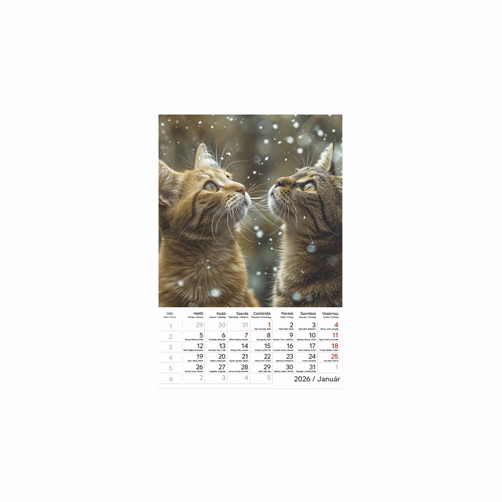 Falinaptár TOPTIMER T094 220x330mm álló Cicák 2026.