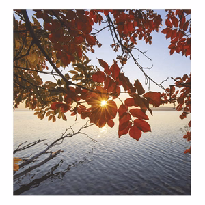 Falinaptár TOPTIMER T094 220x330mm álló Hangulatok 2026.