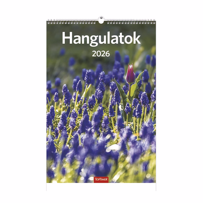 Falinaptár TOPTIMER T094 220x330mm álló Hangulatok 2026.