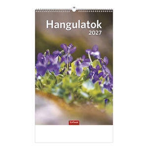 Falinaptár TOPTIMER T094 220x330mm álló Hangulatok 2027