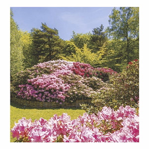 Falinaptár TOPTIMER T094 220x330mm álló Kertek 2026.