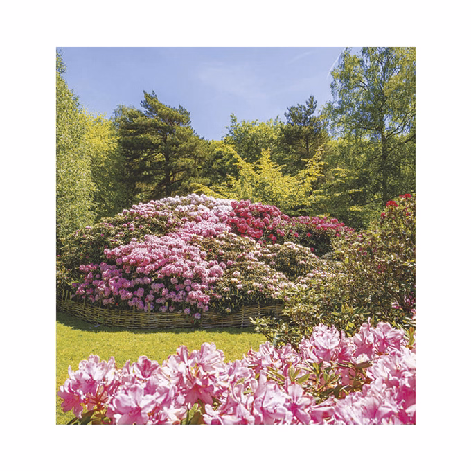 Falinaptár TOPTIMER T094 220x330mm álló Kertek 2026.