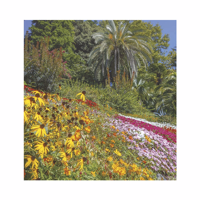 Falinaptár TOPTIMER T094 220x330mm álló Kertek 2026.