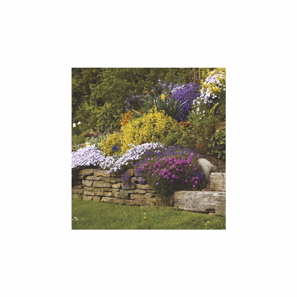 Falinaptár TOPTIMER T094 220x330mm álló Kertek 2026.