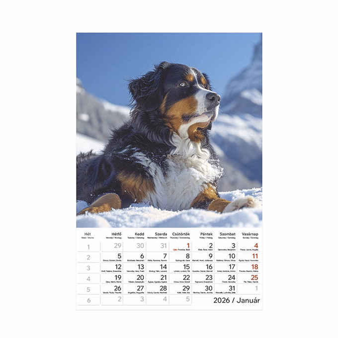 Falinaptár TOPTIMER T094 220x330mm álló Kutyák 2026.