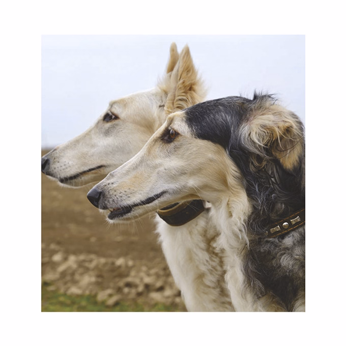 Falinaptár TOPTIMER T094 220x330mm álló Kutyák 2026.