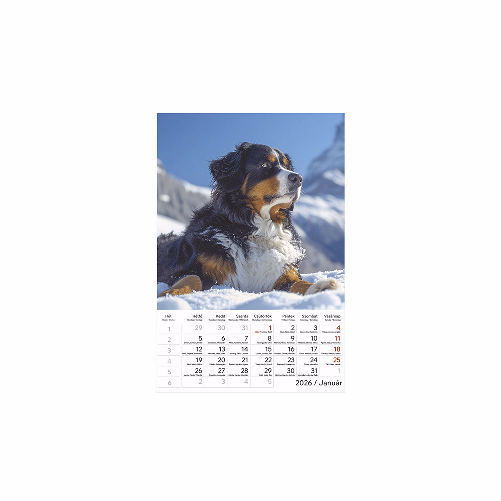 Falinaptár TOPTIMER T094 220x330mm álló Kutyák 2026.