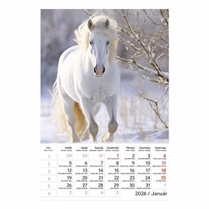 Falinaptár TOPTIMER T094 220x330mm álló Lovak 2026.